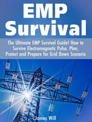 Cover of the book EMP Survival: The Ultimate EMP Survival Guide! How to Survive Electromagnetic Pulse. Plan, Protect and Prepare for Grid Down Scenario by Joe Sorensen