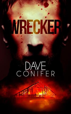 Book cover of Wrecker