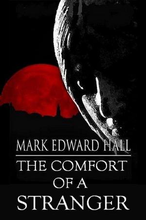 Cover of the book The Comfort of a Stranger by Matt Hughes
