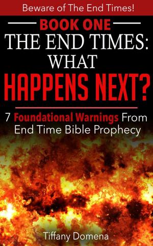 Cover of The End Times: What Happens Next?