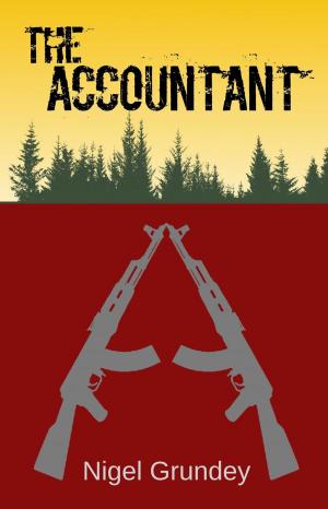 Cover of the book The Accountant by Don Templeton