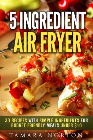 Cover of the book 5 Ingredient Air Fryer: 30 Recipes with Simple Ingredients for Budget Friendly Meals under $10 by Rebecca Valente