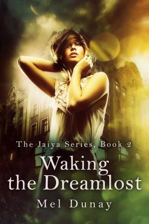 Cover of the book Waking The Dreamlost by Amanda McNeil