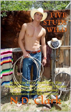 Cover of Five Studs Wild