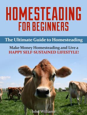 bigCover of the book Homesteading: Make Money Homesteading and Live a Happy Self-Sustained Lifestyle! (Homesteading Tips) by 
