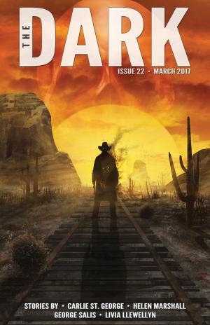 Book cover of The Dark Issue 22