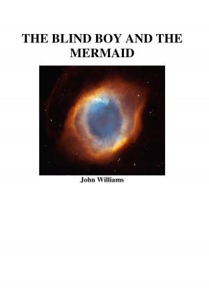 bigCover of the book The Biind Boy and the Mermaid by 
