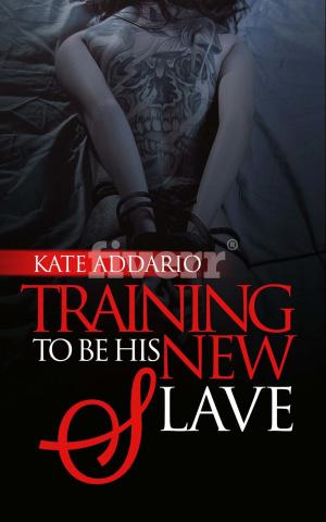 Cover of Training to Be His New Slave