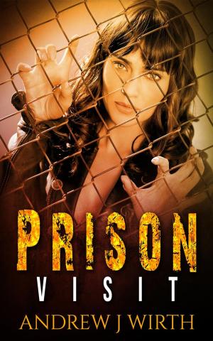 Cover of the book Prison Visit by Bethany Michaels