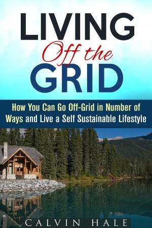 Book cover of Living off the Grid: How You Can Go Off-Grid in Number of Ways and Live a Self Sustainable Lifestyle