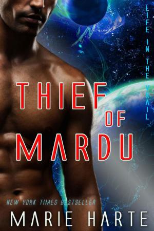 Cover of the book Thief of Mardu by Peter Michael Rosenberg