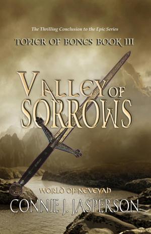 Cover of the book Valley of Sorrows by J. M. Rojas