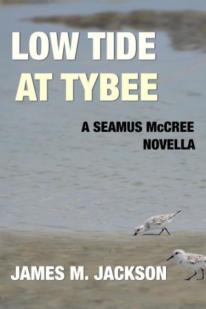 bigCover of the book Low Tide at Tybee by 