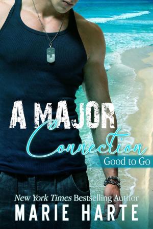 Cover of the book A Major Connection by Irene Davidson