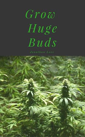Book cover of Grow Huge Buds