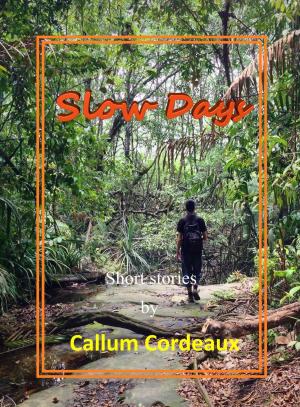 Cover of the book Slow Days by Karl El-Koura