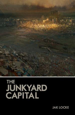 bigCover of the book The Junkyard Capital by 