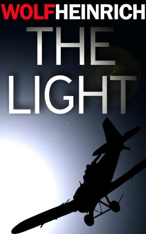 Cover of the book The Light by Tyro Vogel