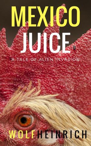 Book cover of Mexico Juice