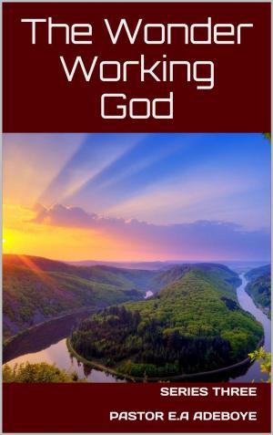 Book cover of The Wonder Working God