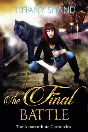 Book cover of The Final Battle