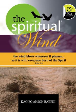 Cover of the book THE SPIRITUAL WIND by Anne Catherine Emmerich