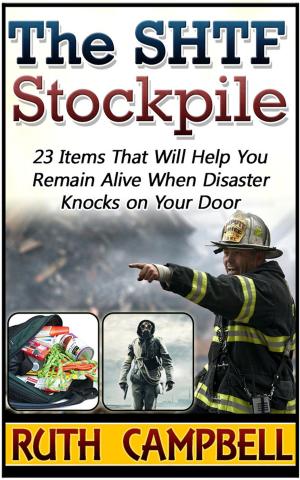 bigCover of the book The Shtf Stockpile: 23 Items That Will Help You Remain Alive When Disaster Knocks on Your Door by 