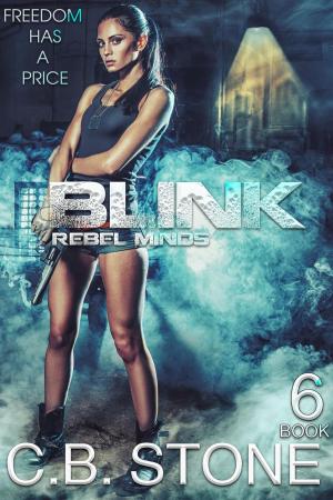 Cover of the book Blink by Sarah Kosofsky