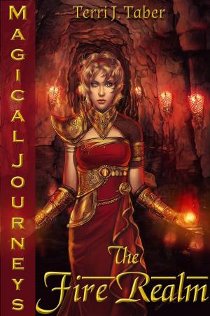 Cover of the book Magical Journeys: The Fire Realm by Pete Malicki