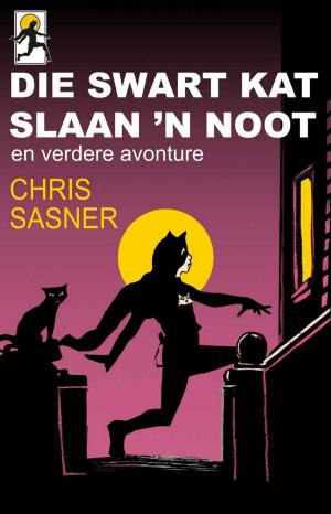 Cover of the book Die Swart Kat slaan 'n noot by Roger Emile Stouff, Kenneth R. Brown