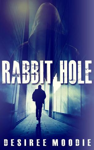 Cover of the book Rabbit Hole by Kyle Robinson