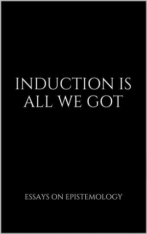 Cover of the book Induction Is All We Got by Magnus Vinding