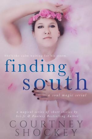 bigCover of the book Finding South by 