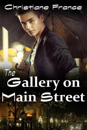 Cover of the book The Gallery On Main Street by Christiane France