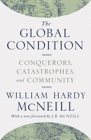 Cover of the book The Global Condition by Srinivas Aravamudan