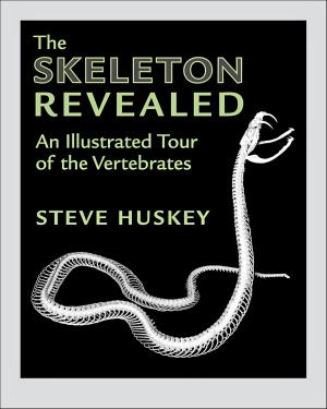 Cover of the book The Skeleton Revealed by Virginia Hayssen, Teri J. Orr