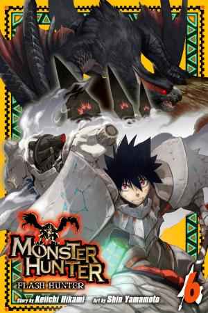 Book cover of Monster Hunter: Flash Hunter, Vol. 6