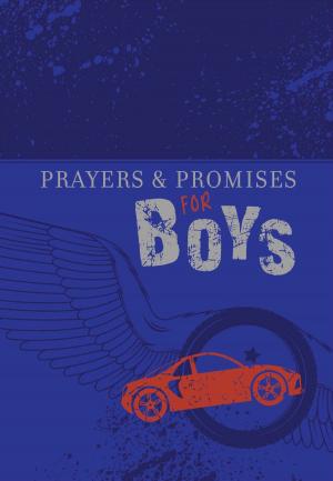 Book cover of Prayers & Promises for Boys