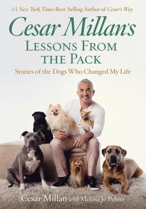 bigCover of the book Cesar Millan's Lessons From the Pack by 