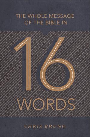 Cover of the book The Whole Message of the Bible in 16 Words by John Piper