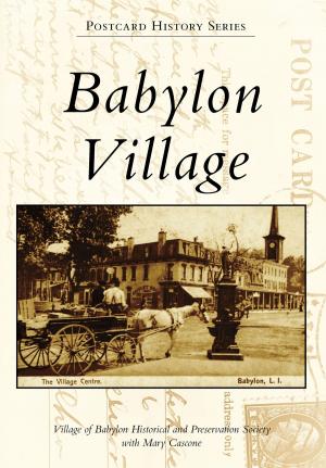 Cover of the book Babylon Village by David H. Steinberg, Chattanooga Choo Choo