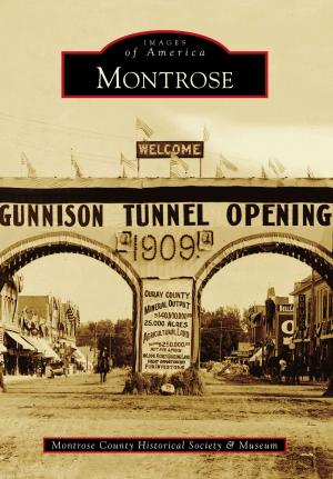 Cover of the book Montrose by Michael Coker