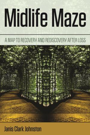 Book cover of Midlife Maze