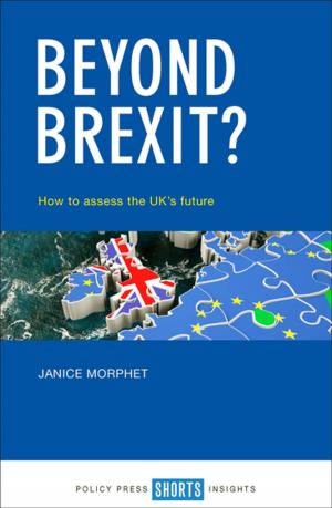Cover of the book Beyond Brexit? by Hudson, John, Lowe, Stuart