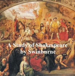 Cover of the book A Study of Shakespeare by William MacLeod Raine