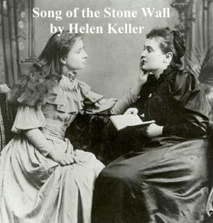 Cover of the book The Song of the Stone Wall by Theophile Gautier
