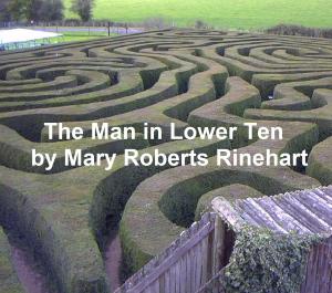 Cover of the book The Man in Lower Ten by William MacLeod Raine