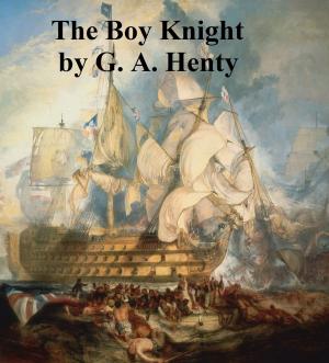Cover of the book The Boy Knight, A Tale of the Crusades by Elizabeth Cady Stanton