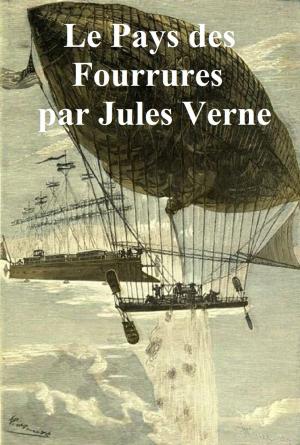 Cover of the book Le Pays des Fourrures (in the original French) by Nathaniel Hawthorne