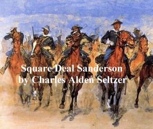 Cover of the book Square Deal Sanderson by Richard Seltzer
